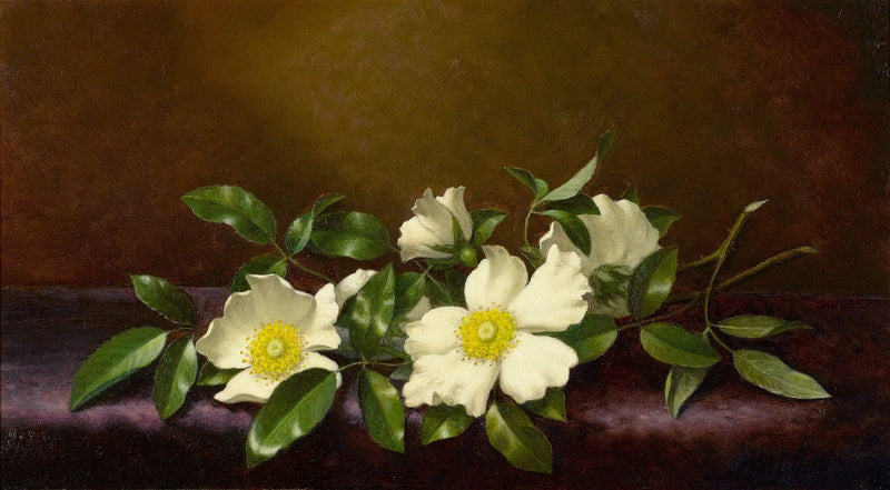 Violet kumaş üzerinde Cherokee gülleri - Martin Johnson Heade