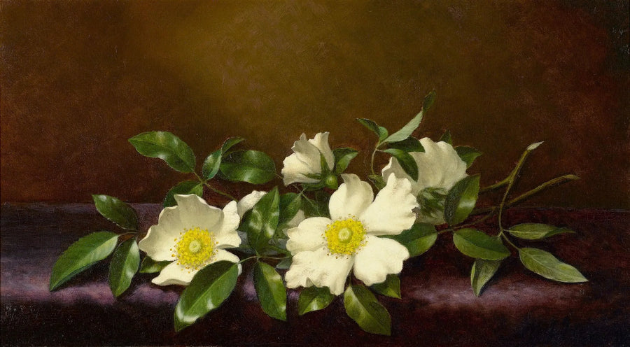 Violet kumaş üzerinde Cherokee gülleri - Martin Johnson Heade