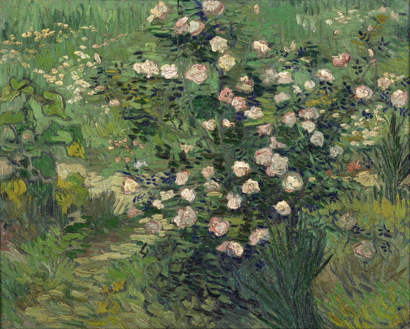 Güller - Vincent van Gogh