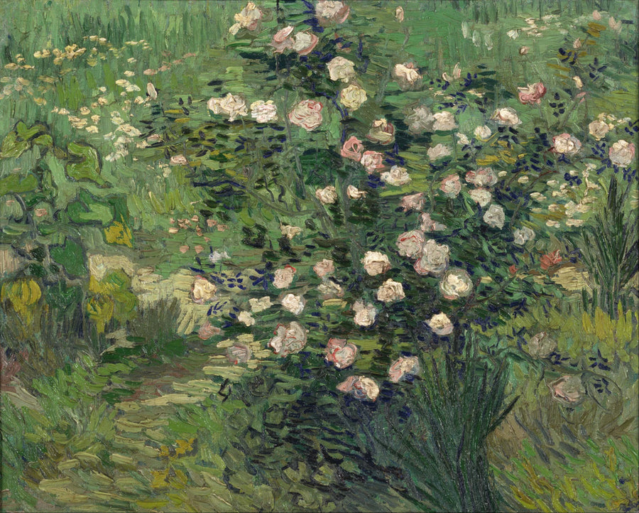Güller - Vincent van Gogh