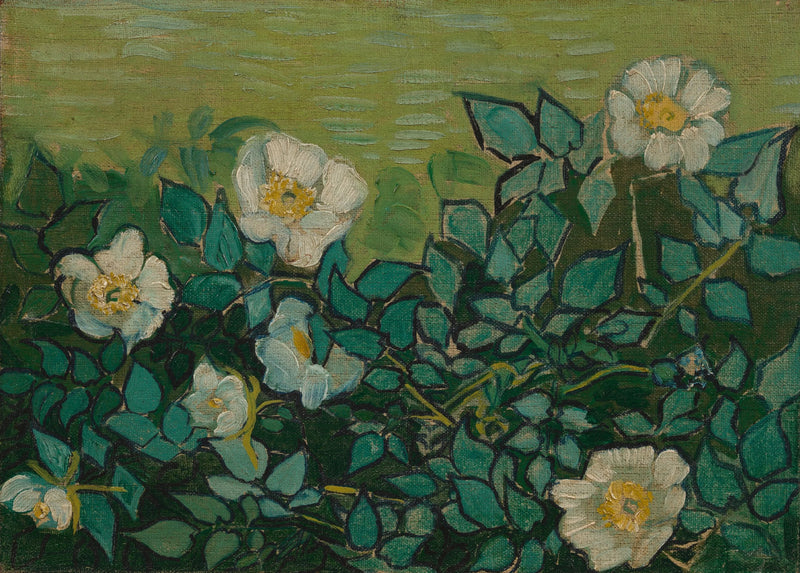 Yaban Gülleri - Vincent van Gogh