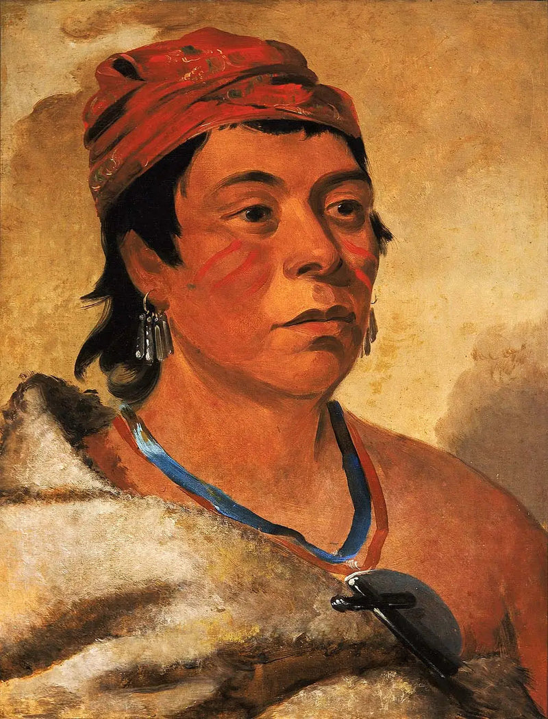 Yuvarlak Ada, bir savaşçı - George Catlin