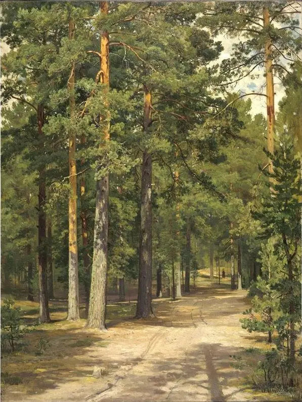 Çam Ormanında Yol - Ivan Chichkine