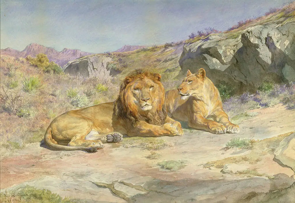 Royale à la maison - Rosa Bonheur - Alpha Reproduction