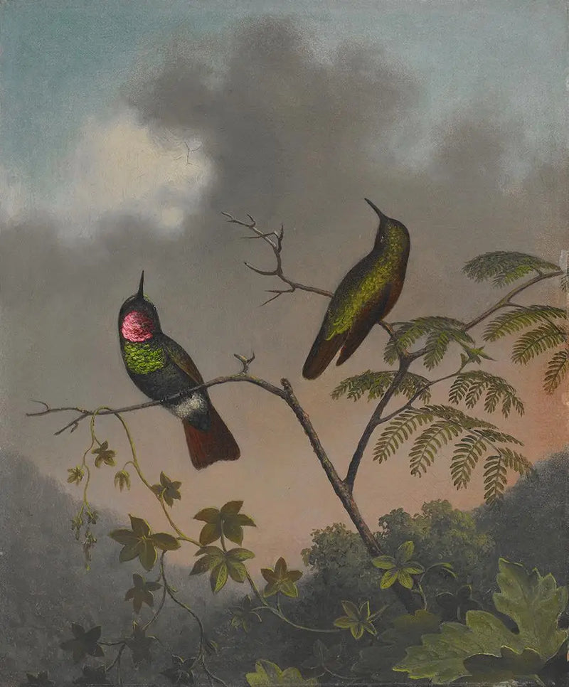 Rubis Brezilya - Martin Johnson Heade