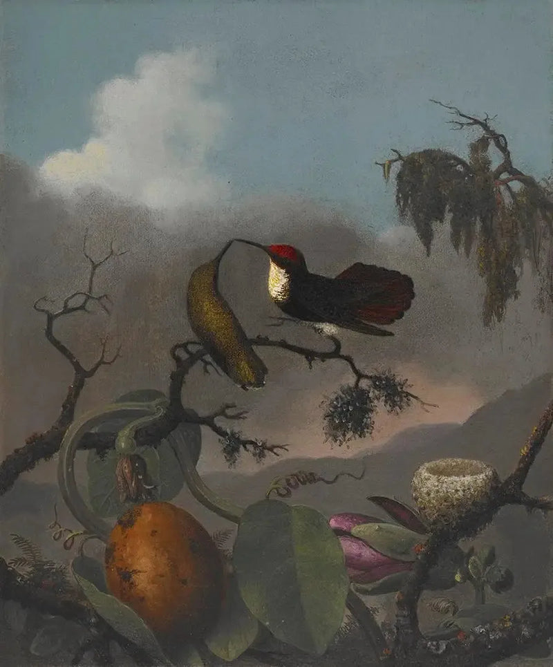Rubis-Topaz - Martin Johnson Heade