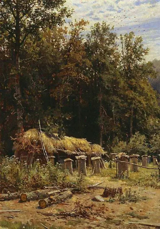 Kovan - Ivan Chichkine