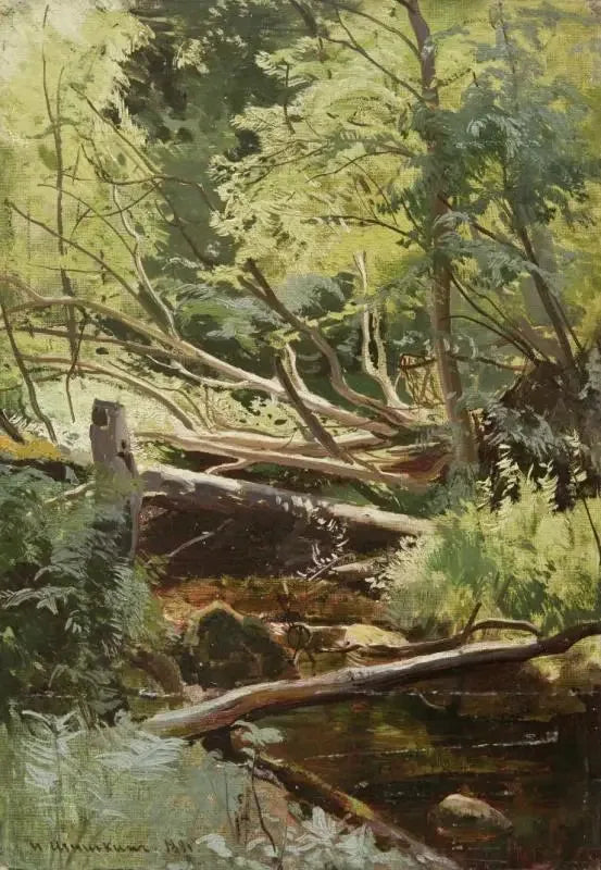Ormanda Dere - Ivan Chichkine