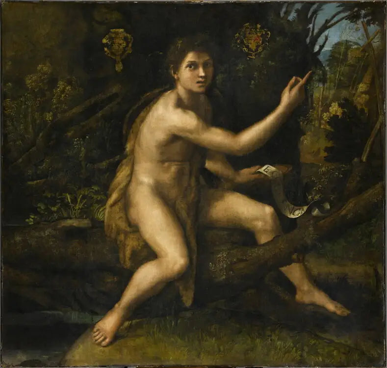Çöl'deki Aziz Yuhanna - Raphael Sanzio