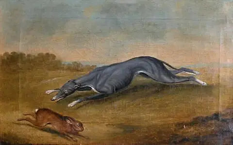 Başlıksız (Köpek tavşan avlıyor) - George Stubbs