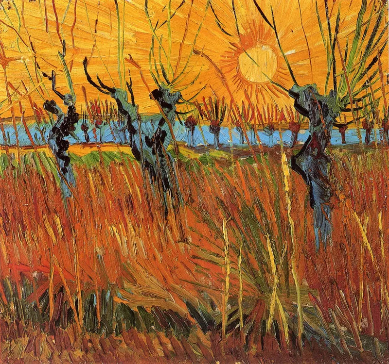 Gün batımında Söğütler - Vincent van Gogh