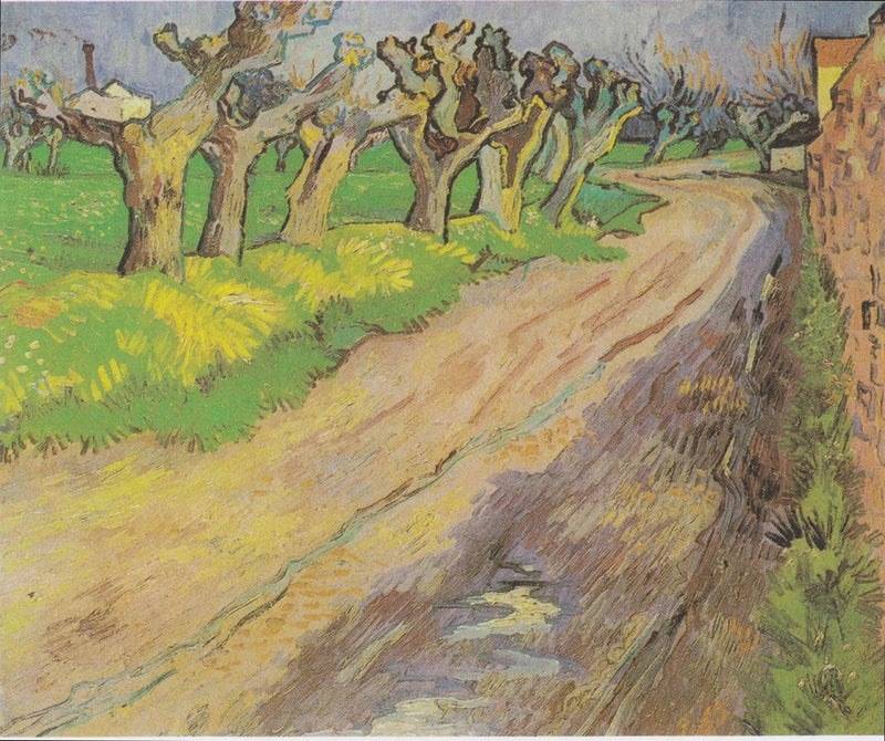 Küt Burunlu Söğütler - Vincent van Gogh