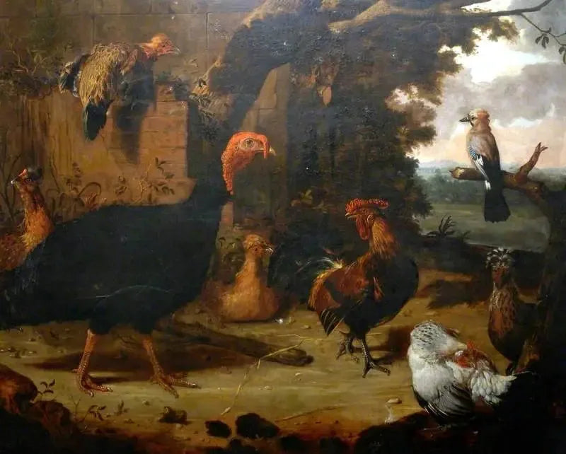 Çiftlik Sahnesi, Siyah Hindi - Melchior de Hondecoeter