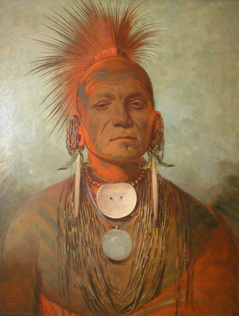 See-non-ty-a, Iowa'lı bir şifacı - George Catlin