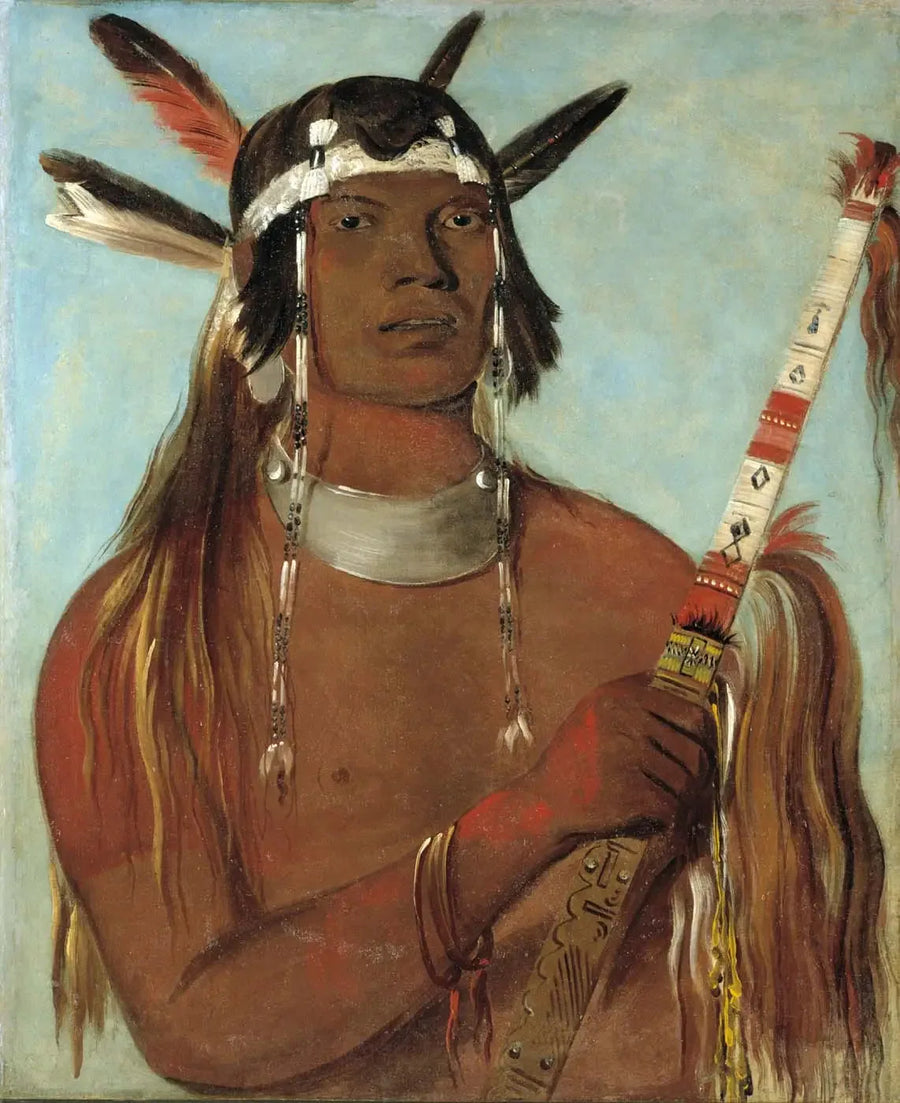 Seehk-hée-da, fare rengi tüy, tanınmış cesur - George Catlin