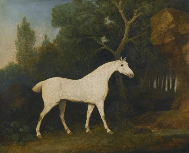 Selim, bir gri avcı, bir kafes içinde - George Stubbs