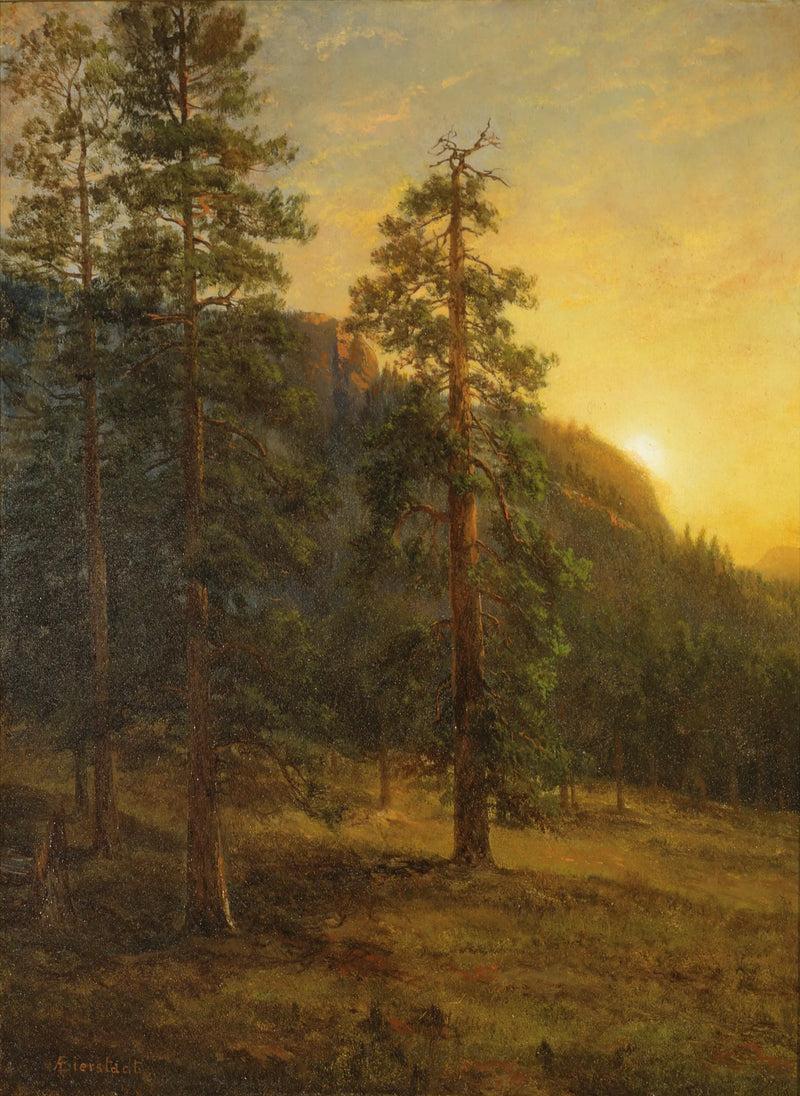 Kaliforniya Sekoyaları - Albert Bierstadt