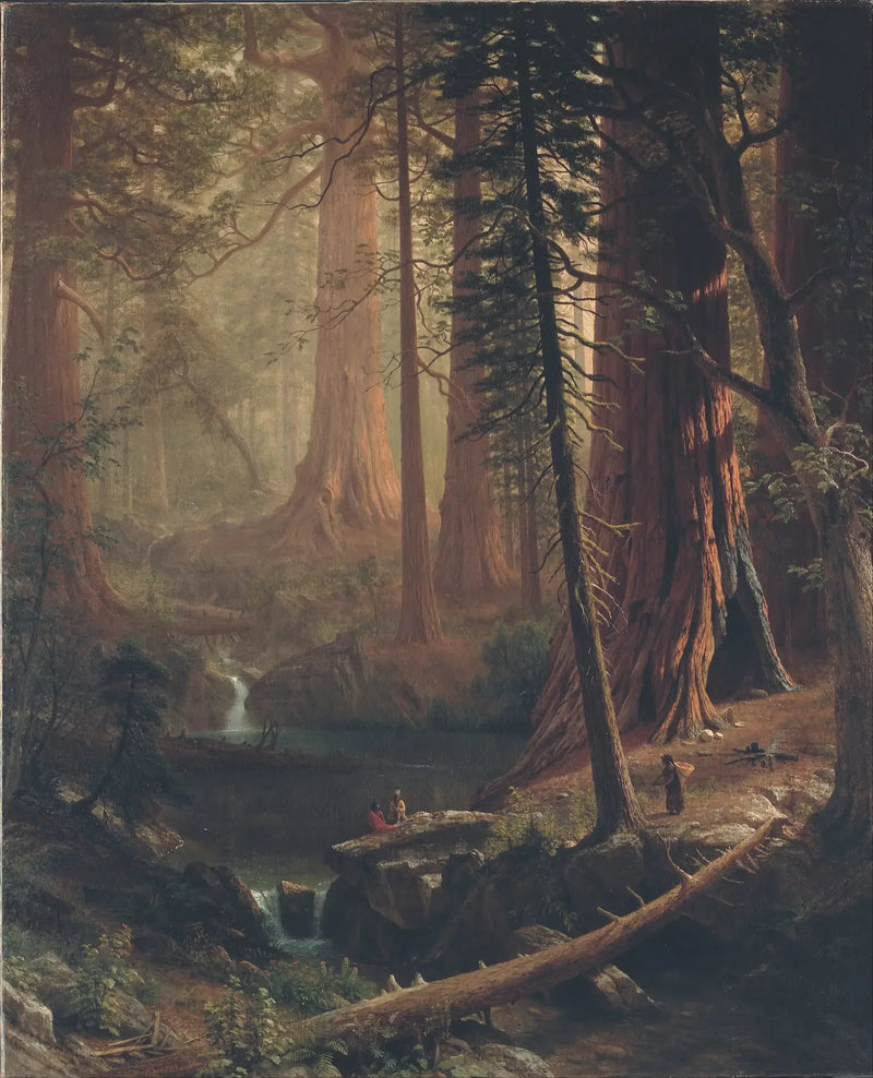 Kaliforniya Dev Sekoyaları - Albert Bierstadt