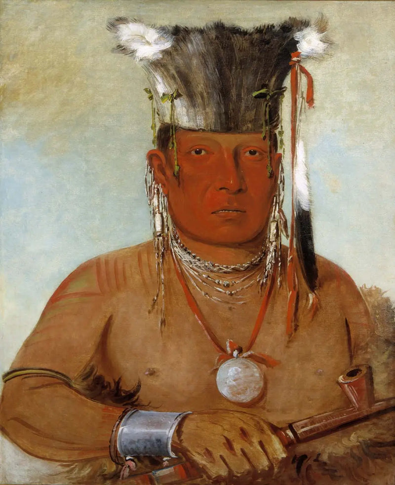 Sháw-da-mon-nee, işte burada, cesur - George Catlin