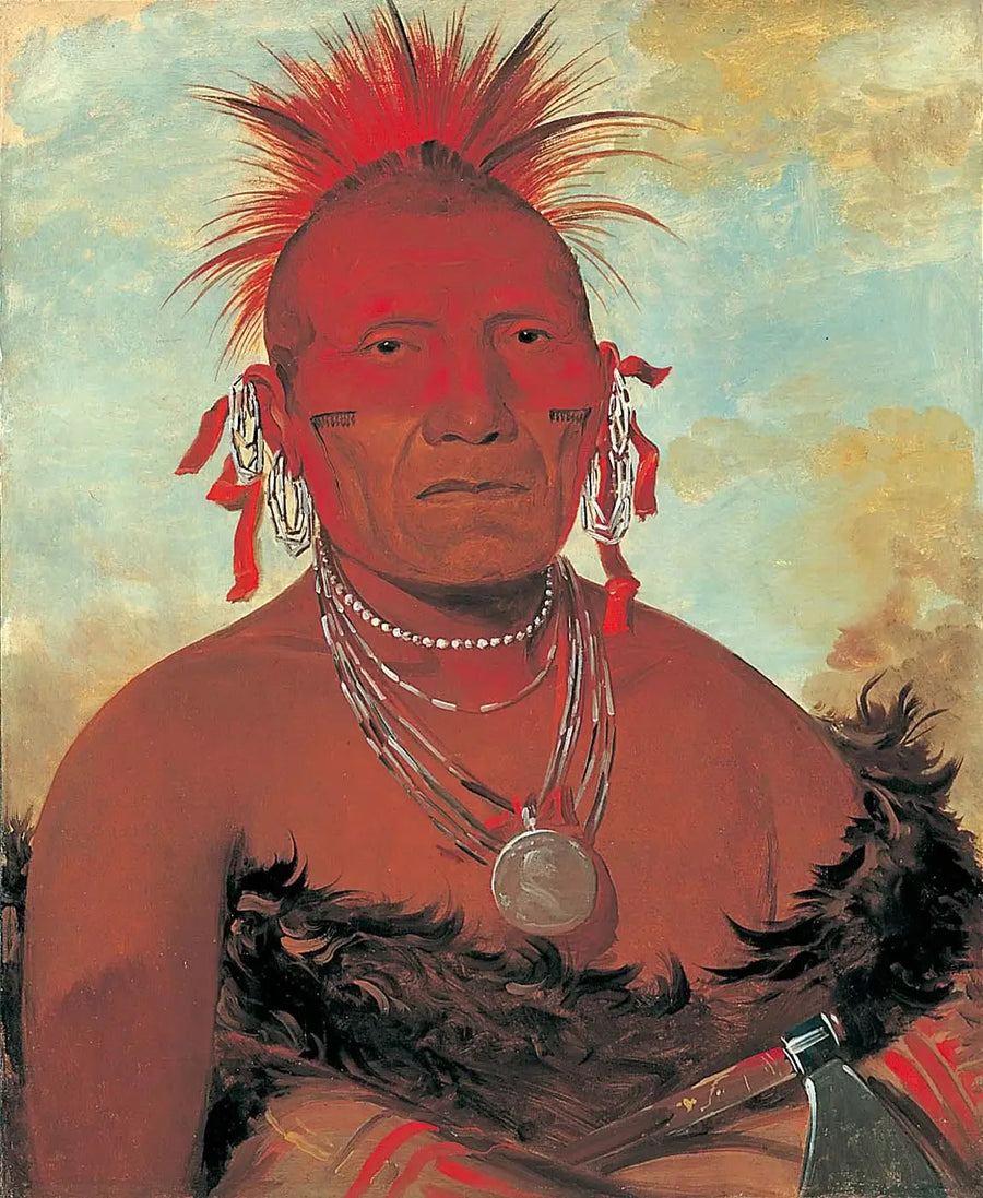 Shón-ka-ki-he-ga, at şefi, büyük Pawnee şefi - George Catlin