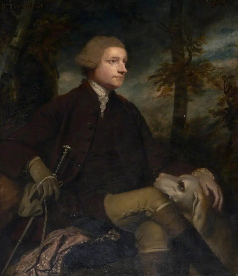 Sir Thomas Dyke Acland, 3. / 7. baronnet Acland de Columb-John MP (1722-1785) - Joshua Reynolds