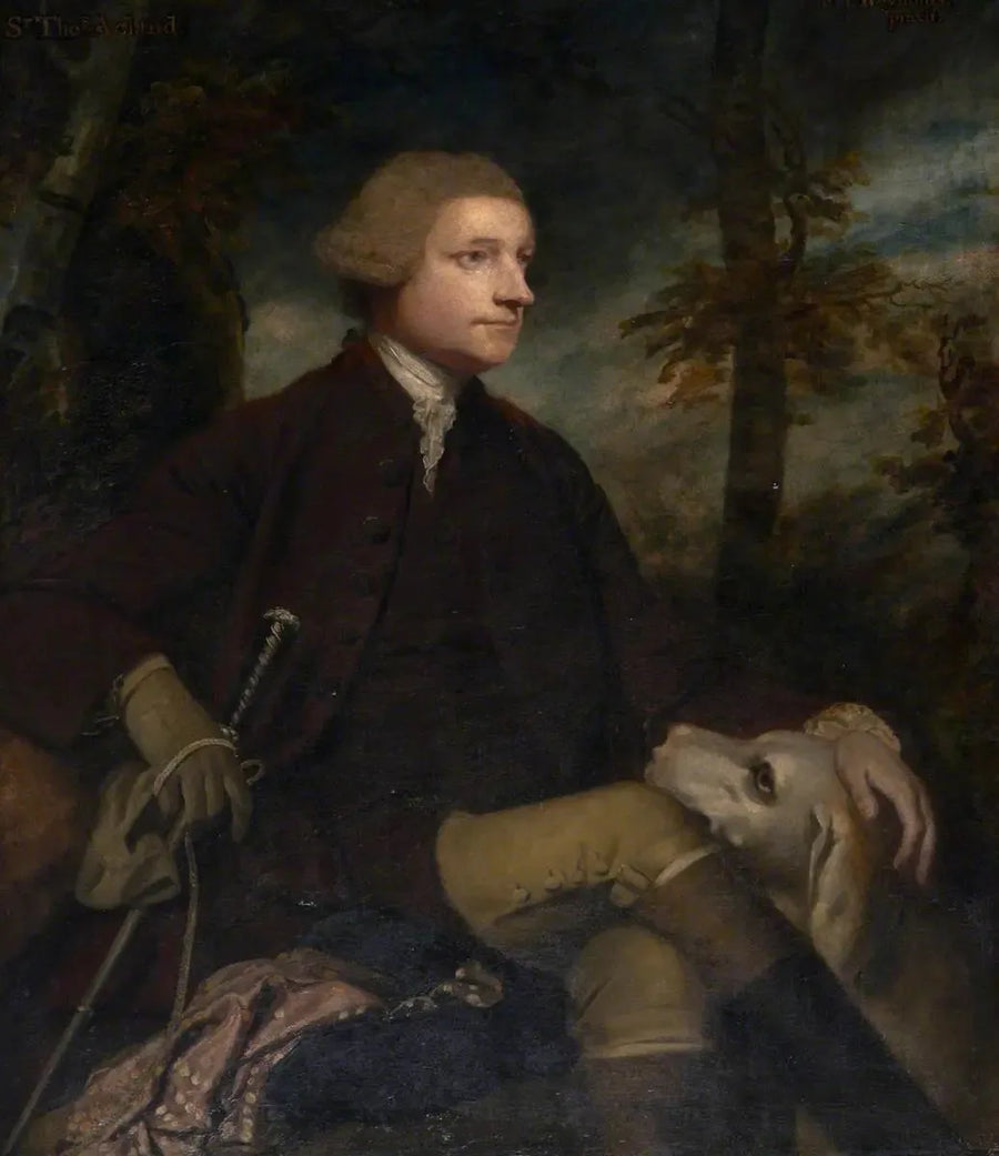 Sir Thomas Dyke Acland, 3. / 7. baronnet Acland de Columb-John MP (1722-1785) - Joshua Reynolds