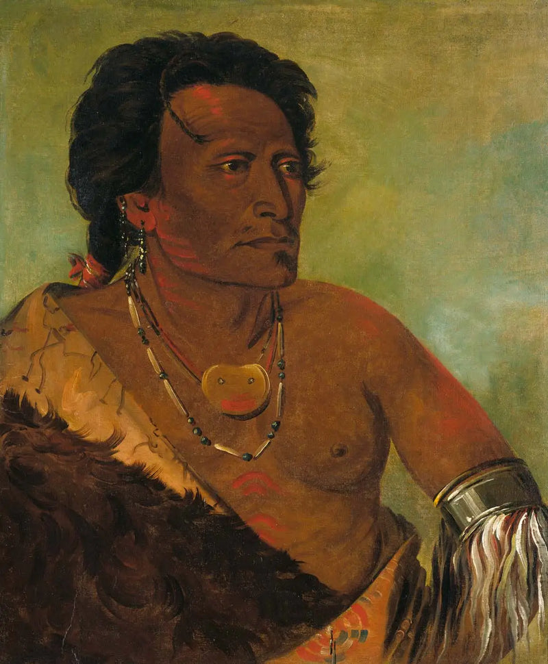 Sky-se-ró-ka, ikinci kabile lideri - George Catlin