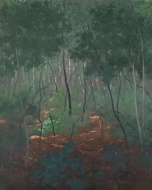 Alt Ormanlar, Hafif Ağaçlar - Félix Vallotton
