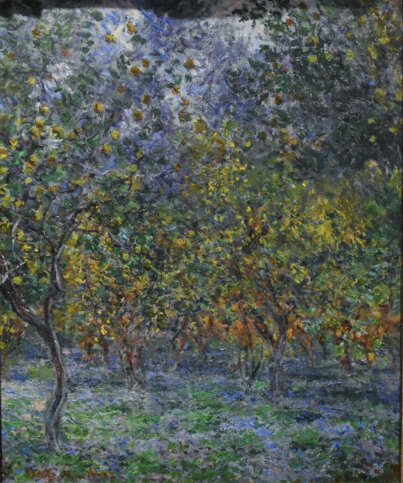 Limon ağaçlarının altında W873 - Claude Monet