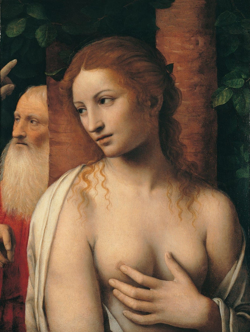 Suzanne ve Eski Adamlar - Bernardino Luini