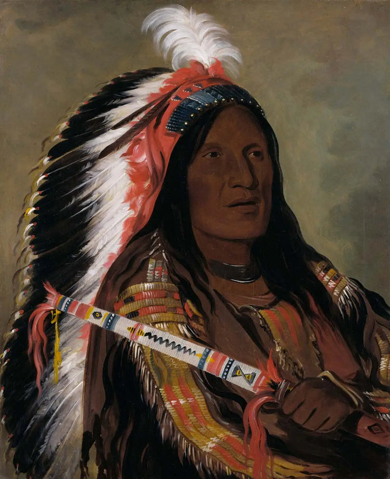 Táh-téck-a-da-háir, Vent raide, Bad Arrow Points grubundan cesur bir kişi - George Catlin