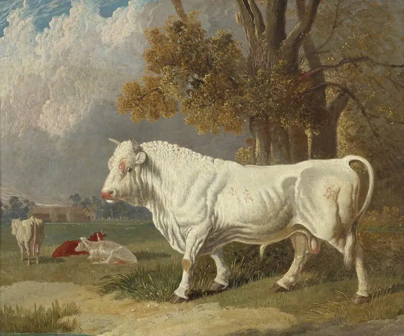 Beyaz Boğa, Fulbourn, Cambridgeshire, 1830 - John Frederick Herring, Sr.