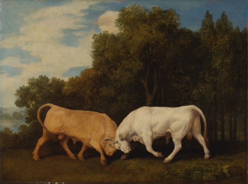 Boğalar - George Stubbs