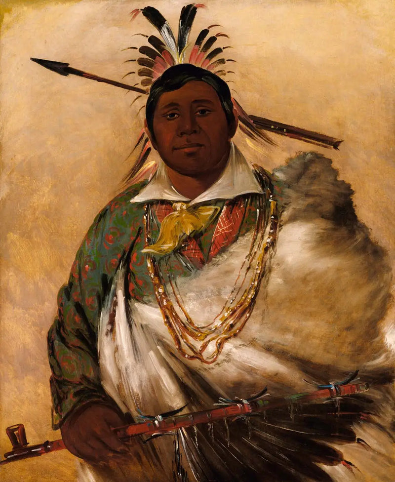 Téh-ke-néh-kee, siyah kaban, bir şef - George Catlin