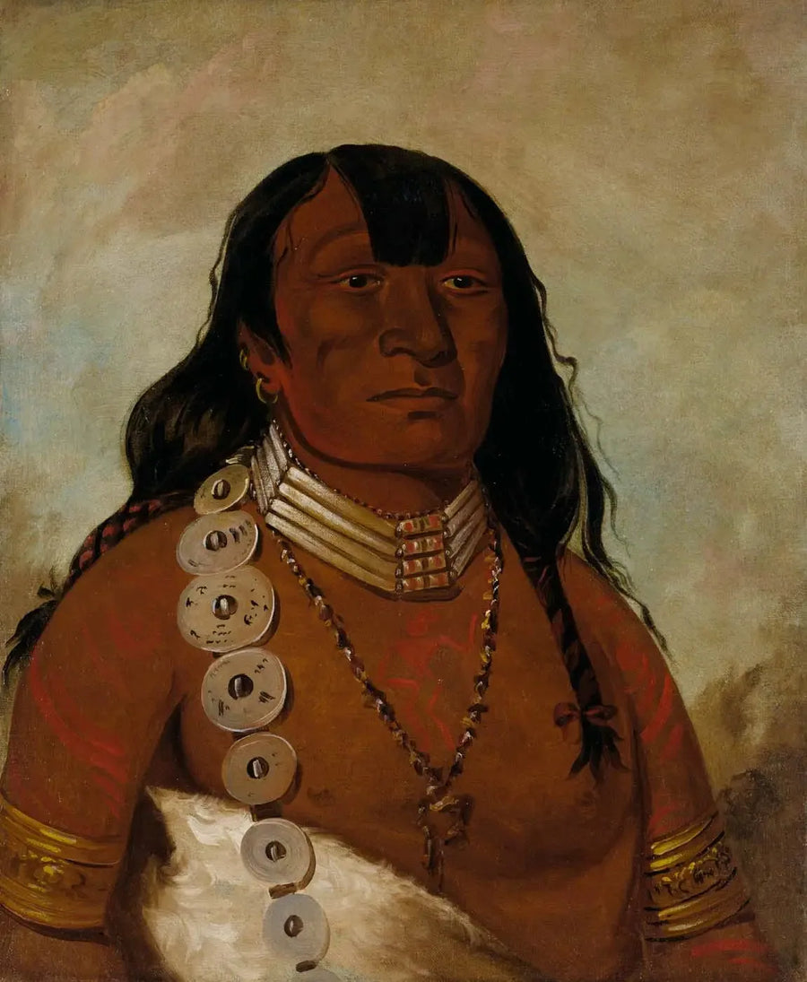 Téh-tóot-sah (daha çok Tohausen, Little Bluff olarak bilinir), baş şef - George Catlin