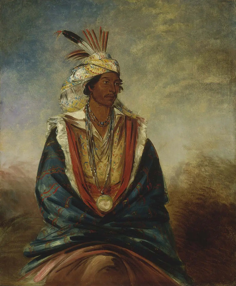 Tel-maz-há-za, bir seçkin savaşçı - George Catlin