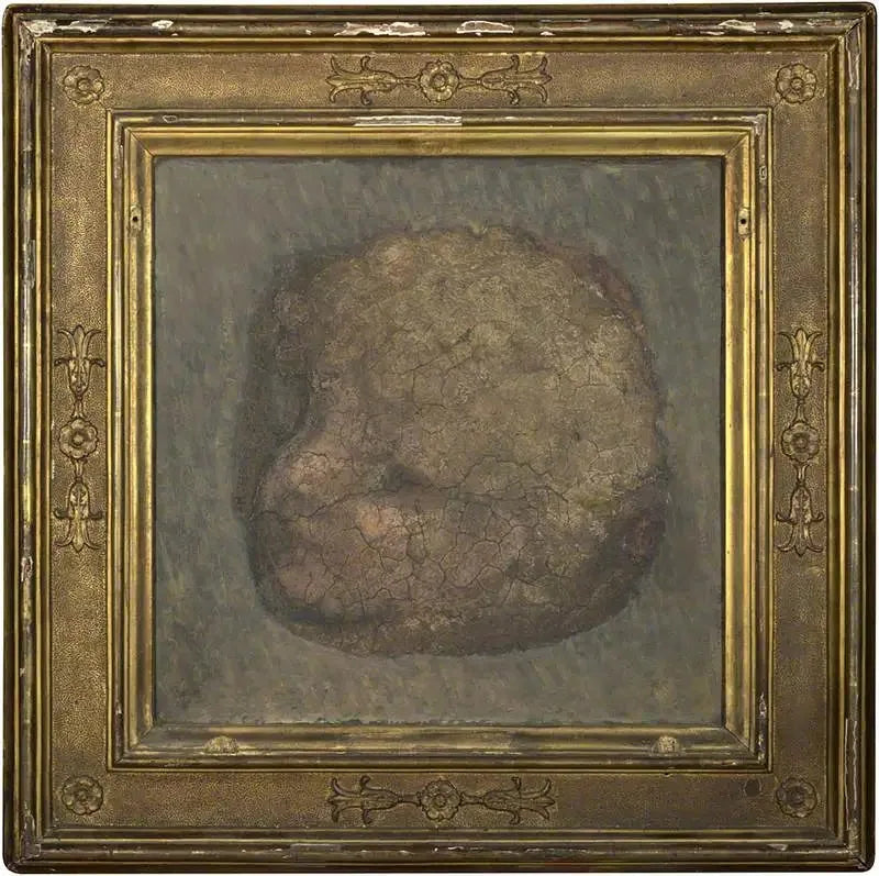 Melek Başlığı - Antonio da Correggio