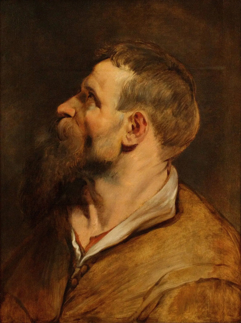 Sola bakan sakallı bir adamın başı - Peter Paul Rubens
