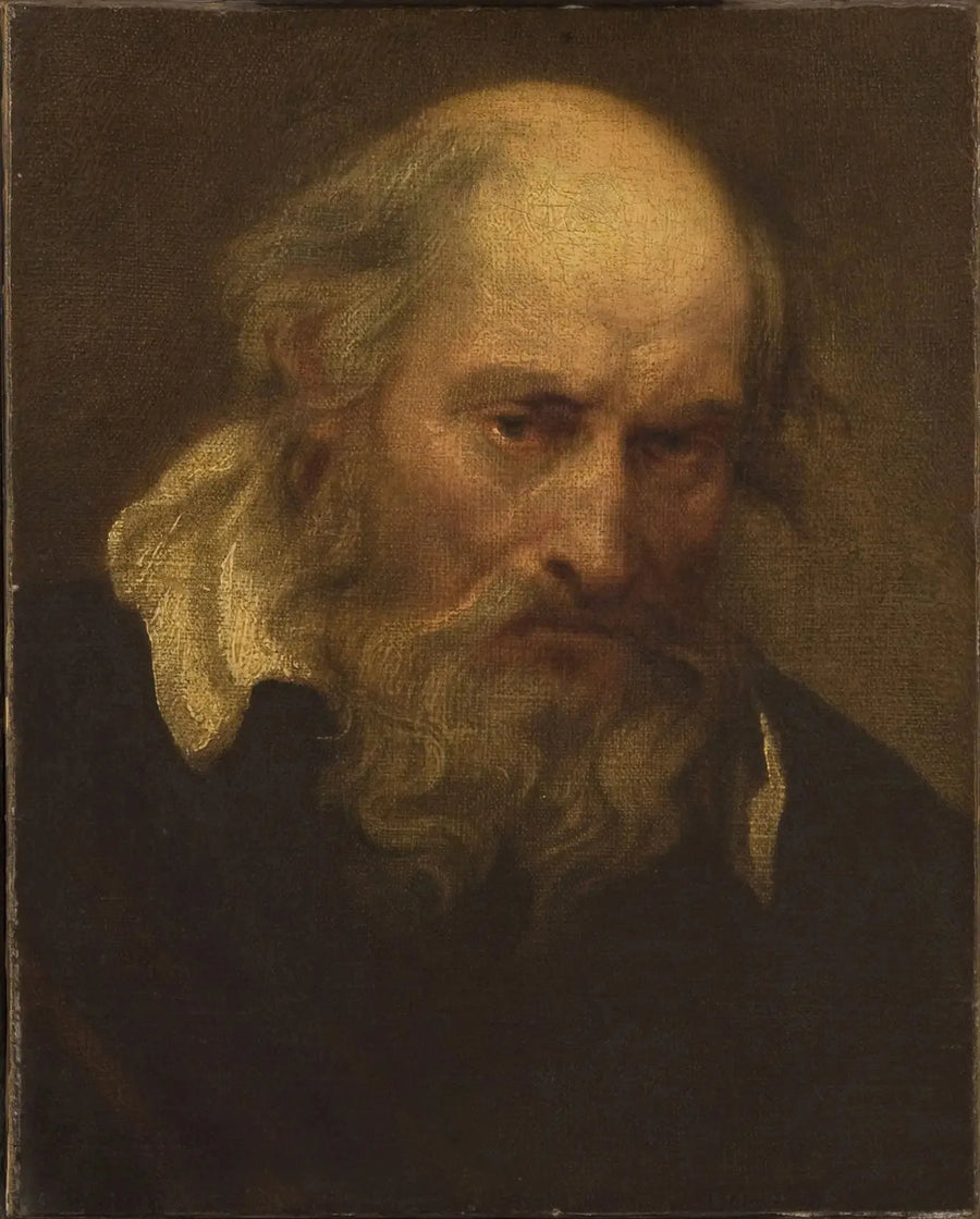 Yaşlı Bir Adamın Başı - Antoine van Dyck