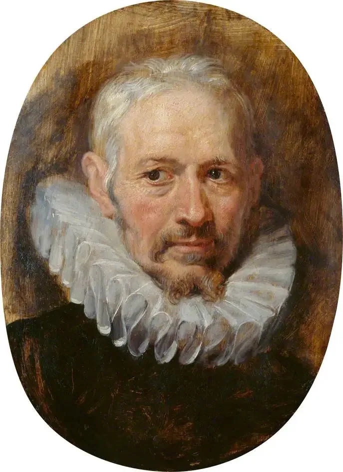 Yaşlı bir adamın başı - Peter Paul Rubens