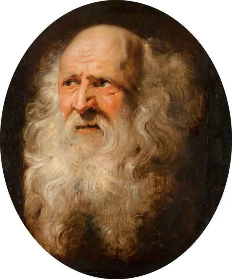 Yaşlı bir adamın başı - Peter Paul Rubens