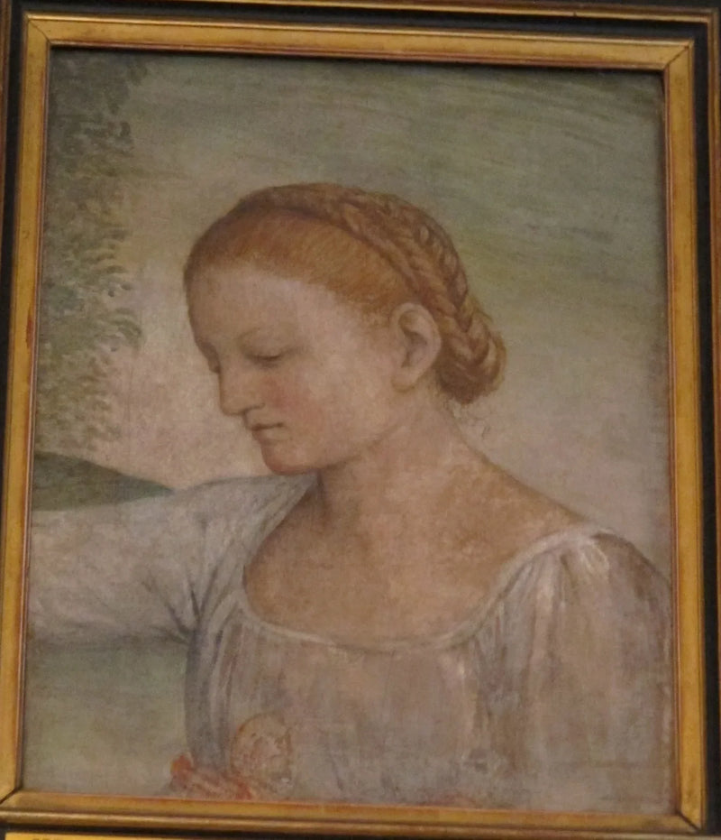 Bir Kızın Başlığı - Bernardino Luini