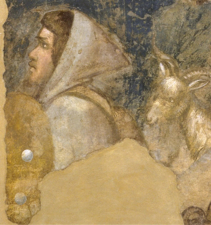 Çoban Başlığı - Giotto