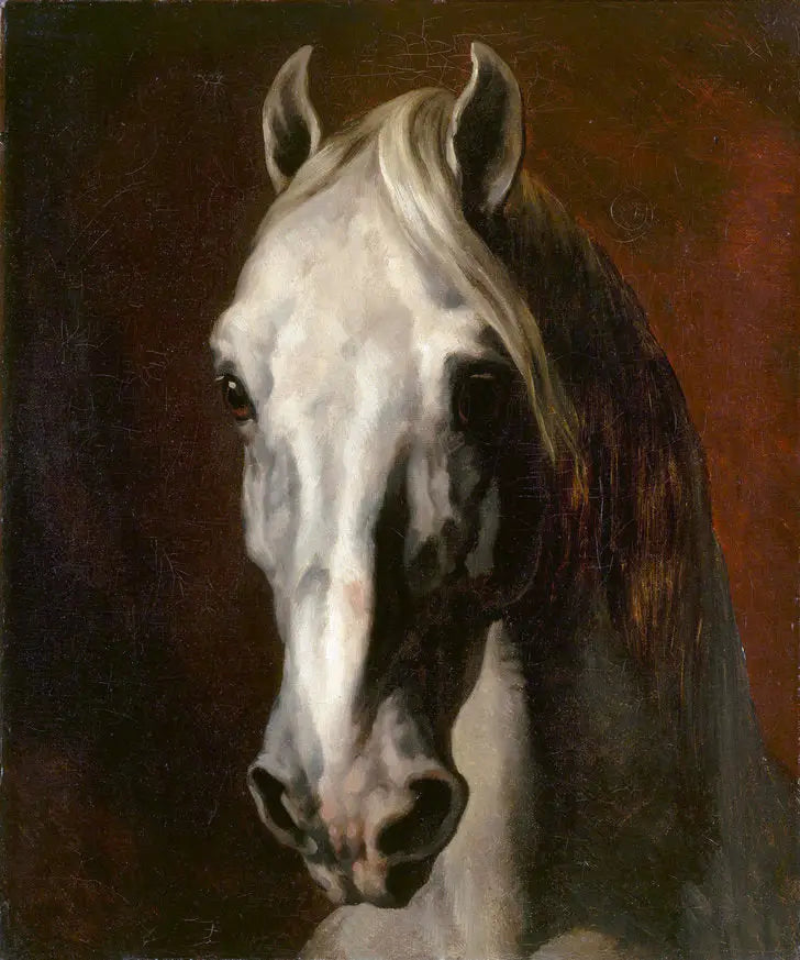 Tête de cheval blanc - Théodore Géricault image 1 copie de tableau peinte à la main