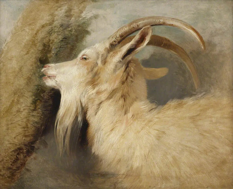 keçi başı - Edwin Henry Landseer