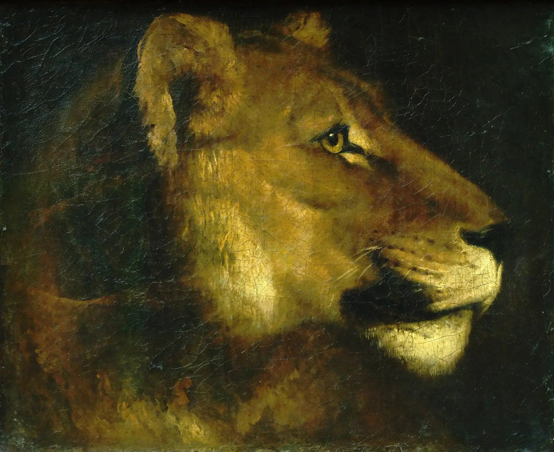 Dişi aslan başı - Théodore Géricault