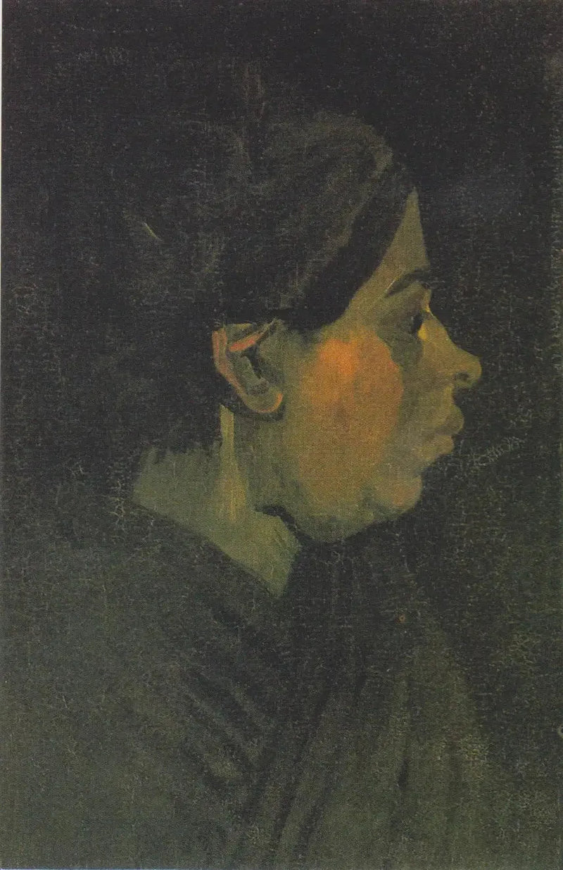 Köylü Kadının Başı - Vincent van Gogh