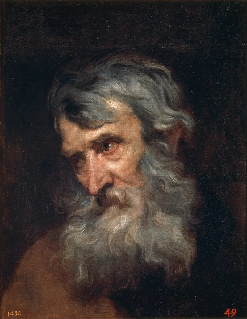 Yaşlı Adam Başlığı - Antoine van Dyck
