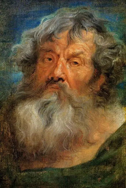 Yaşlı Adam Başlığı - Antoine van Dyck