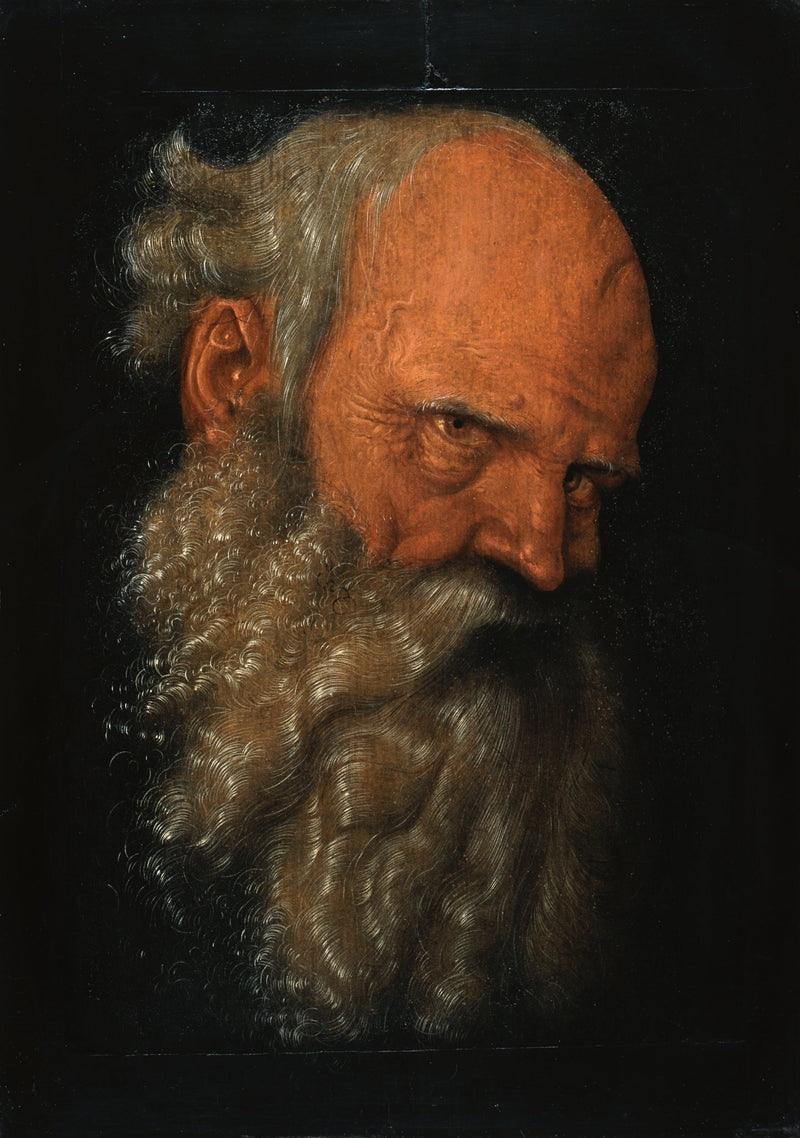 Yaşlı sakallı bir adamın başı - Hans Baldung Grien